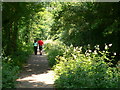 Footpath along Cromford Canal