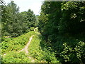 Canal footpath, Cromford Canal