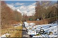 Cyclepath to Melrose