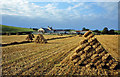 Harvest time at Garpin Farm, Crosshill