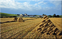 NS3207 : Harvest time at Garpin Farm, Crosshill by Walter Baxter