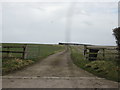 Lane towards Wighill Grange