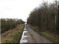 Healaugh Lane near Round Hill