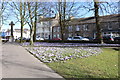 Soaperie Gardens, Kirkcudbright