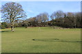 Hope - Dunbar Public Park, Kirkcudbright