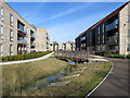 Ninewells: houses and footbridge