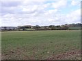 SJ8008 : Field View by Gordon Griffiths