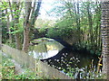 Notter bridge