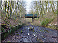 Path of disused railway at Haigh