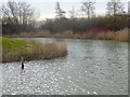 Lake at Stockley Park