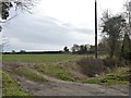 Footpath meets the road