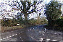TL1824 : Hitchwood Lane Preston by Geographer