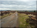 Junction of a path from Drop Farm with the track to Harbour Lodge, Haworth