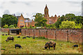 Quarr Abbey