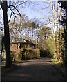 Cottage in the woods