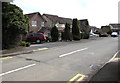 Maes-y-capel houses, Pembrey