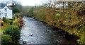 River Tavy