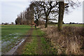 Path leading to Beech Tree Farm