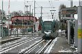 David Lane tram stop