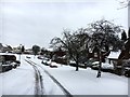 Button Hill after a heavy snowfall