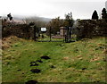 Molehills near the entrance to an old cemetery, Varteg