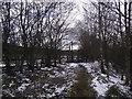 Footpath towards Great Glen