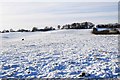 Snow-covered field adjacent to Whitford Road, Bromsgrove, Worcs
