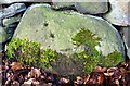 Benchmark on stone at base of Park Wood boundary wall