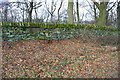 Dry stone wall between footpath and Park Wood