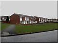 Houses on Netherton Close, Chester-le-Street