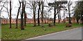 The buildings of the former Downshire Mental Hospital