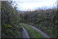 SX4975 : West Devon Way by N Chadwick