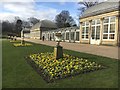 Spring colour in the Botanical Gardens