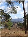 The Carlingford Lough port town of Warrenpoint glimpsed from Ferryhill Road