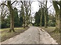 SJ9042 : Tree-lined carriage drive in Queen's Park, Longton by Jonathan Hutchins