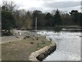 SJ9042 : Waterfowl and lake in Queen's Park, Longton by Jonathan Hutchins