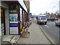 Pavement outside Roses, Devizes