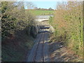 S0426 : Waterford to Limerick Junction Railway at Cahir by Redmond O'Brien
