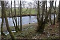 Holyn Bush Pool, Cluden Water