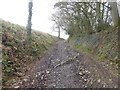 Steep lane from Groubear Bridge to Withleigh