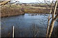 Flooded pit near Locharbriggs