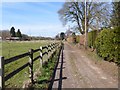 Footpath on track