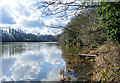 Fishing Jetties, Lymm Dam