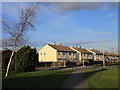 Houses on Jossey Lane