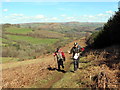 Comin Cefn-Gafros / Cefn-Gafros Common