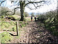 Tuag at Bwll Brechfa / Towards Brechfa Pool