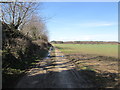 Farm track towards Sutton Wood