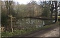 Pond at Westup Farm