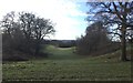 Valley through Trees