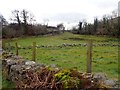 Rough pasture and woodland on the north-east side of the railway at Cloghoge